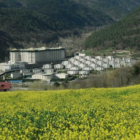 Sarot Thermal Vadi Tatil Koyu - Halal Hotel Bolu Eksteriør billede