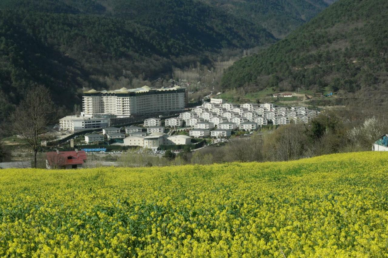 Sarot Thermal Vadi Tatil Koyu - Halal Hotel Bolu Eksteriør billede
